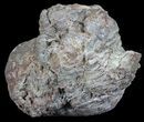 Crystal Filled Dugway Geode (Polished Half) #67513-1